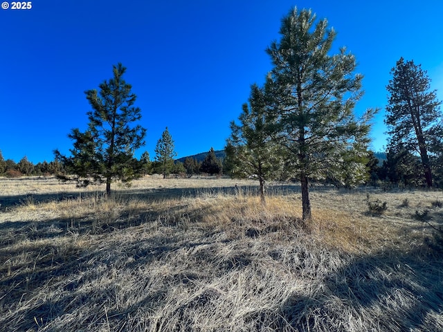 Listing photo 2 for Edgewood Dr, Canyon City OR 97820