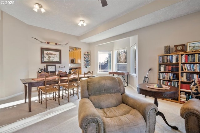 living area with light carpet and a textured ceiling