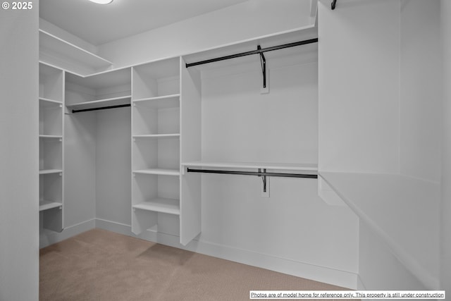 walk in closet with light carpet