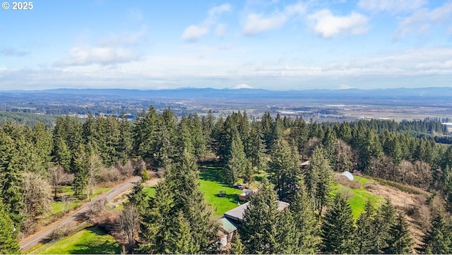 31958 J P W Rd, Scappoose, OR 97056 - bird's eye view of a mountainous background and a forest