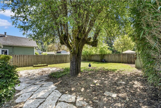 view of yard with a fenced backyard and a patio area