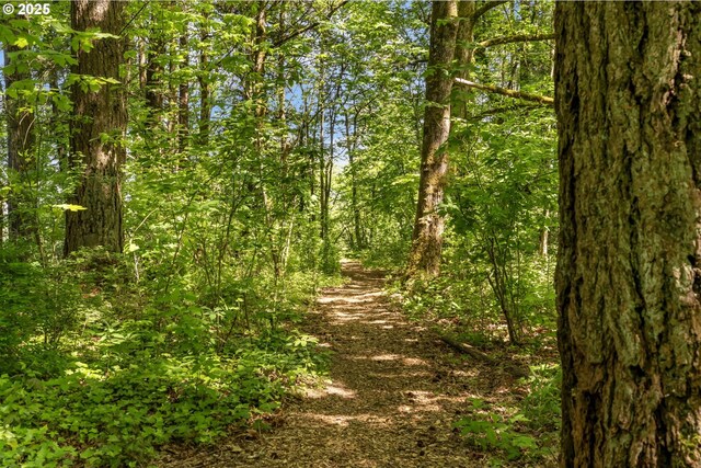 view of nature with a forest view