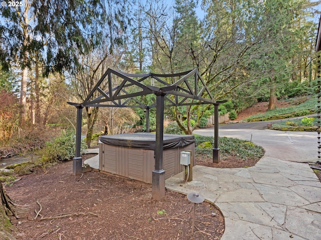 view of yard featuring a patio area and a hot tub