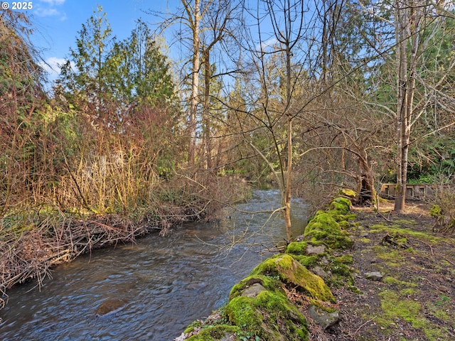 view of water feature