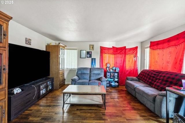 living room with dark hardwood / wood-style flooring