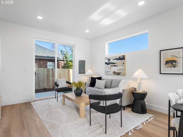 living room with light hardwood / wood-style floors, a wealth of natural light, and electric panel