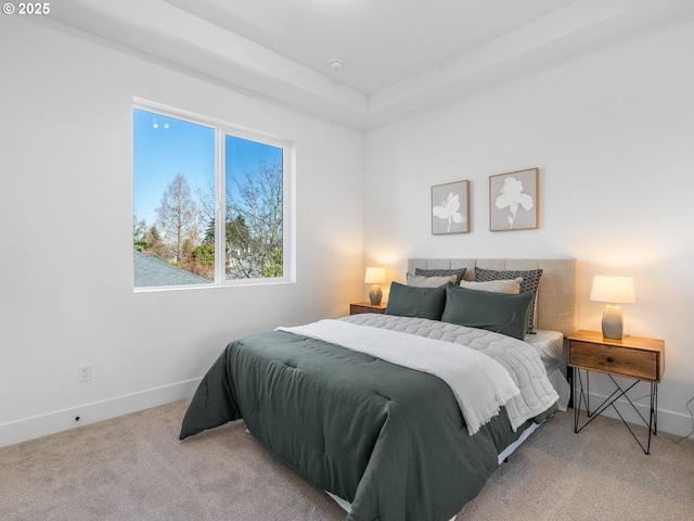 carpeted bedroom with a tray ceiling