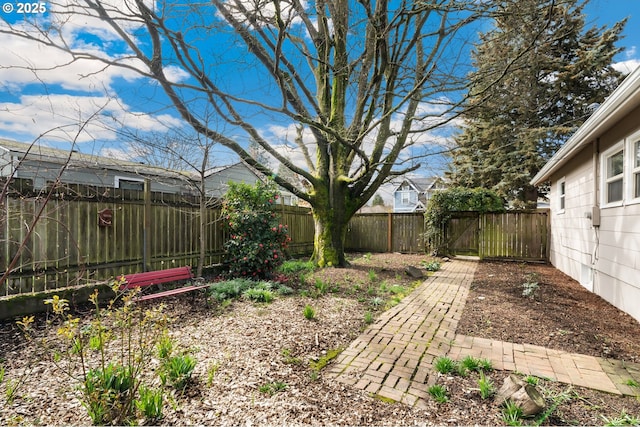 view of yard with a fenced backyard