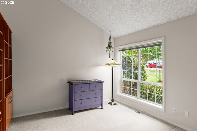 7409 SW Locust St, Portland, OR 97223 - empty room with a textured ceiling, baseboards, light carpet, and vaulted ceiling