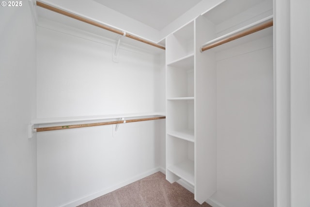 2530 NW 22nd Ave, Camas, WA 98607 - spacious closet with carpet