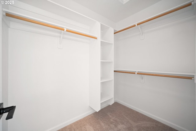 2530 NW 22nd Ave, Camas, WA 98607 - walk in closet with carpet flooring