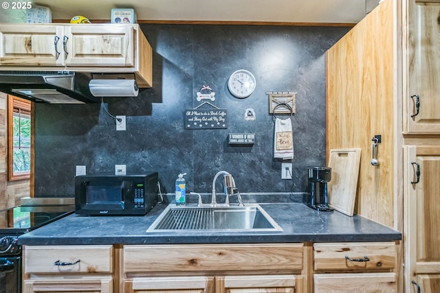 241 Jackson Rd, Cook, WA 98605 - kitchen featuring a sink, stainless steel range with electric cooktop, dark countertops, black microwave, and light brown cabinets