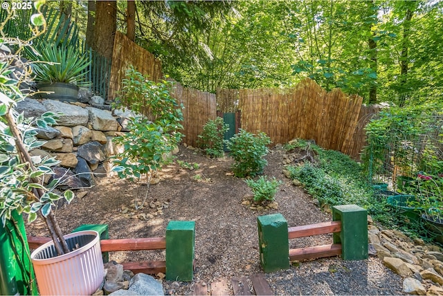 241 Jackson Rd, Cook, WA 98605 - view of yard