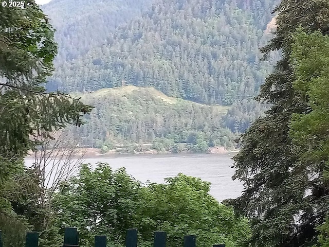 view of water feature featuring a wooded view