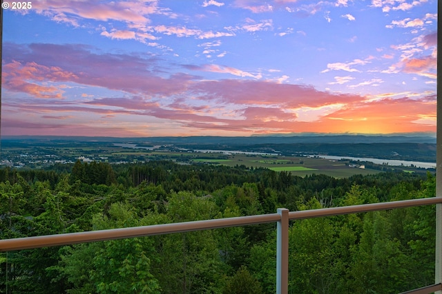335 Runyan Rd, Woodland, WA 98674 - water view with a heavily wooded area