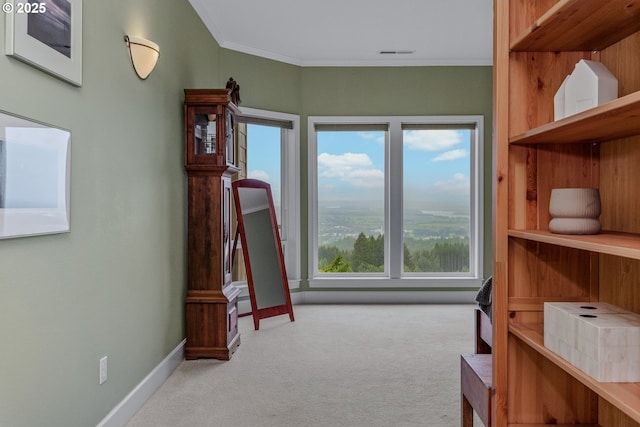 335 Runyan Rd, Woodland, WA 98674 - bedroom featuring carpet flooring, ornamental molding, and baseboards