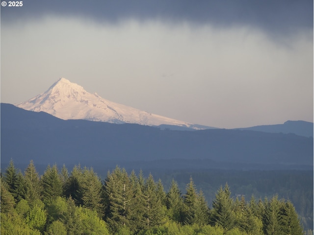 335 Runyan Rd, Woodland, WA 98674 - view of mountain backdrop featuring a heavily wooded area