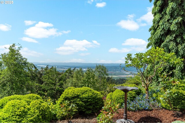 335 Runyan Rd, Woodland, WA 98674 - view of mountain background