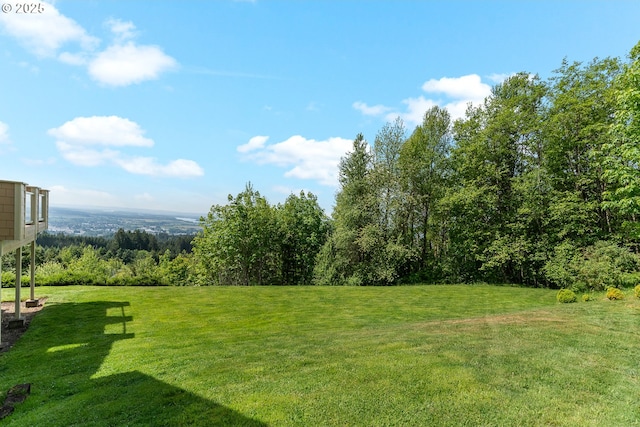 335 Runyan Rd, Woodland, WA 98674 - view of grassy yard featuring a view of trees