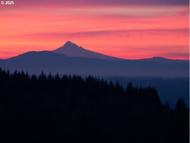 335 Runyan Rd, Woodland, WA 98674 - view of mountain backdrop with a forest