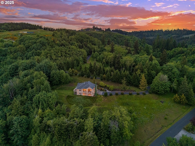 335 Runyan Rd, Woodland, WA 98674 - view from above of property with a forest