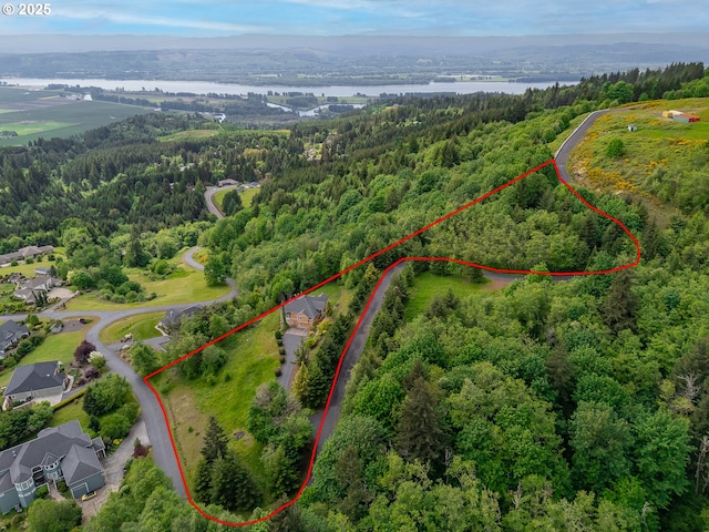 335 Runyan Rd, Woodland, WA 98674 - view of property location featuring a heavily wooded area, property parcel outlined, and a large body of water