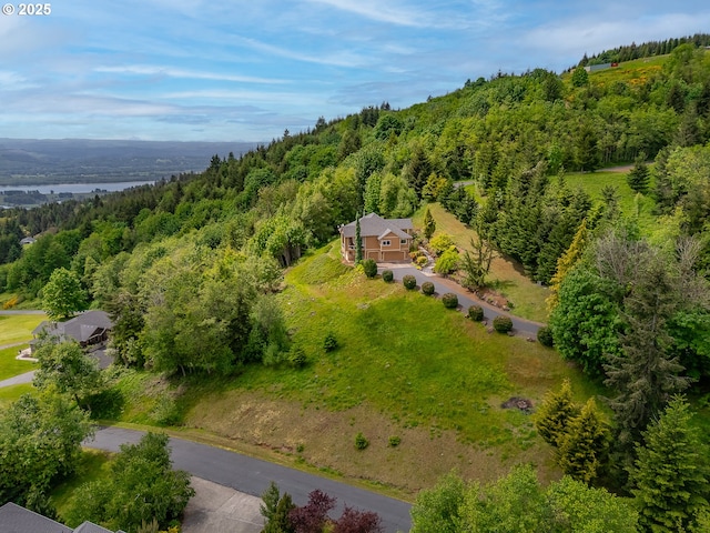 335 Runyan Rd, Woodland, WA 98674 - aerial view of property and surrounding area with a forest