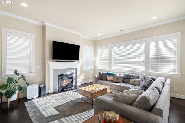 living room with crown molding, a fireplace, and dark hardwood / wood-style floors