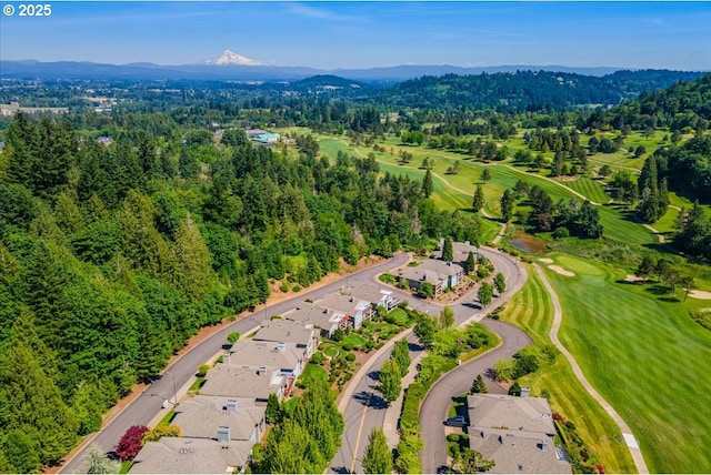 626 SE 38th Dr, Gresham, OR 97080 - drone / aerial view of a mountainous background