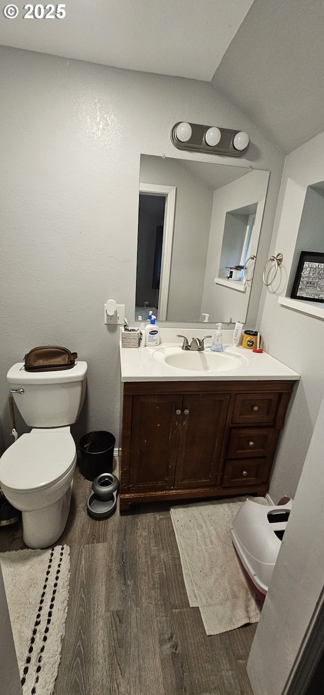 94191 Seaview Ln, Gold Beach, OR 97444 - bathroom with wood finished floors, vanity, toilet, and vaulted ceiling