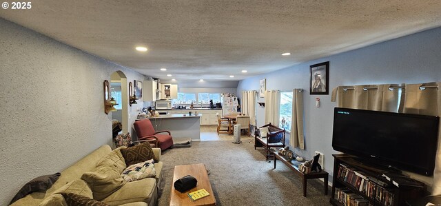 94191 Seaview Ln, Gold Beach, OR 97444 - carpeted living room featuring arched walkways, a textured ceiling, a textured wall, and recessed lighting