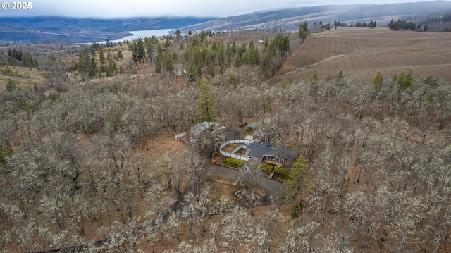 birds eye view of property featuring a mountain view