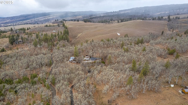 birds eye view of property featuring a mountain view and a rural view