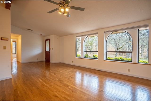 empty room with lofted ceiling, a wealth of natural light, and light hardwood / wood-style floors