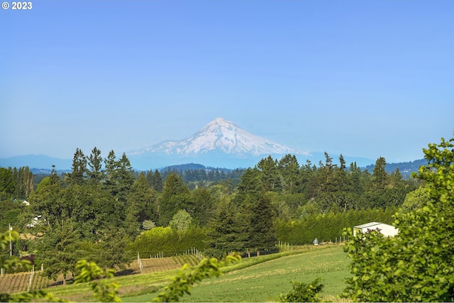 view of mountain backdrop featuring a heavily wooded area