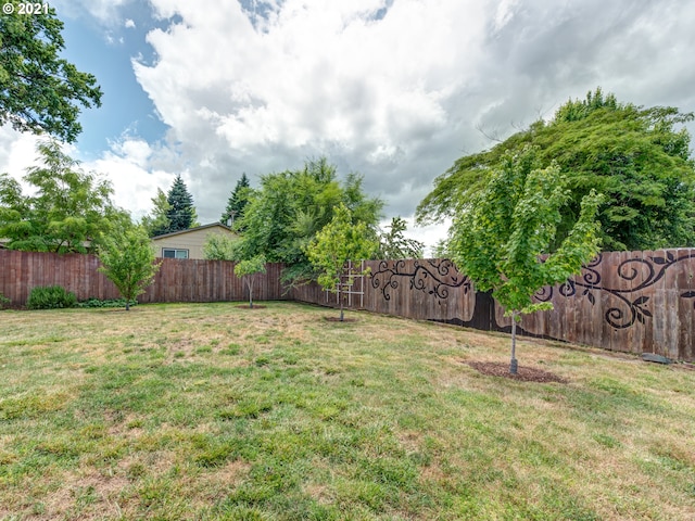 view of yard with a fenced backyard