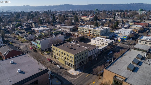 bird's eye view with a mountain view