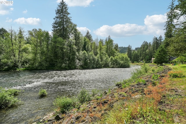 28831 SE Woods Rd, Eagle Creek, OR 97022 - water view with a heavily wooded area