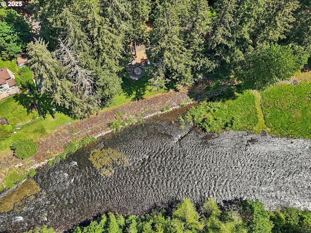 28831 SE Woods Rd, Eagle Creek, OR 97022 - bird's eye view