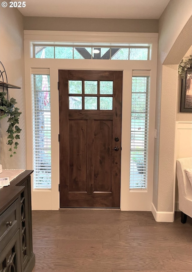 foyer featuring baseboards, wood finished floors, and a healthy amount of sunlight