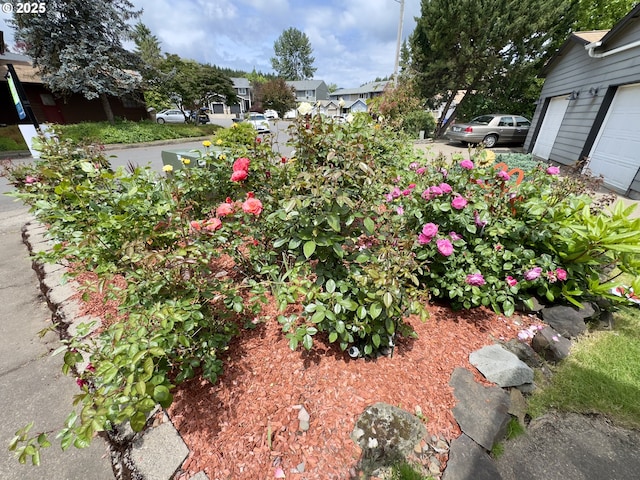 3125 NE Flintlock Pl, Corvallis, OR 97330 - view of yard with a garage