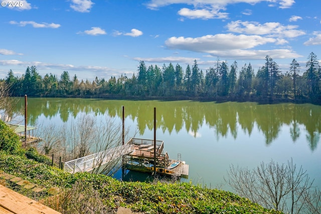 dock area featuring a water view