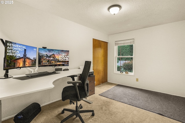 6516 SW Locust St, Portland, OR 97223 - office space with carpet flooring and a textured ceiling