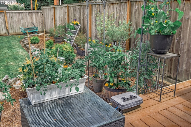 6516 SW Locust St, Portland, OR 97223 - exterior view of a garden and a fenced backyard