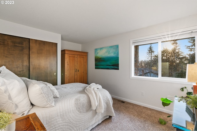 1437 Greentree Cir, Lake Oswego, OR 97034 - bedroom with carpet floors, baseboards, and a closet