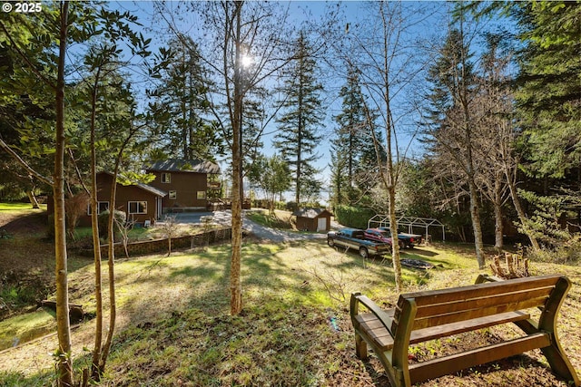 view of yard with a shed