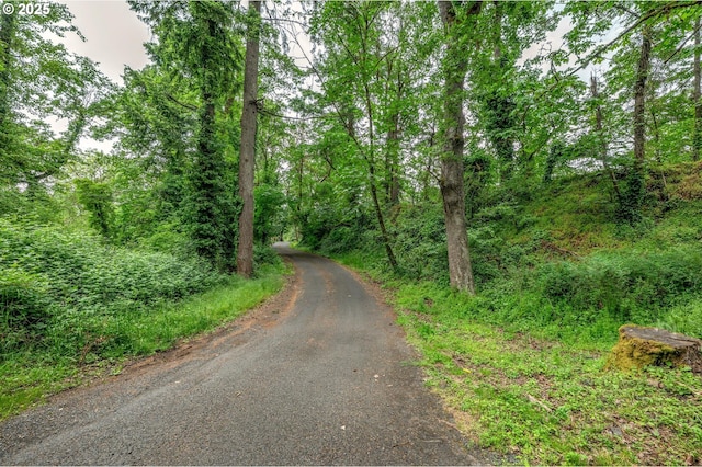 Grey Cliffs Dr, Saint Helens, OR 97051