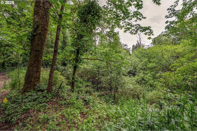 Grey Cliffs Dr, Saint Helens, OR 97051