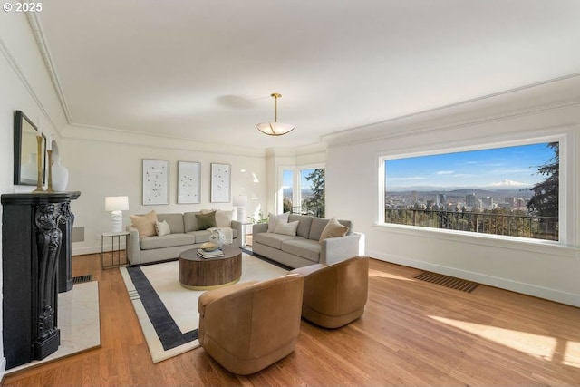 living room featuring wood-type flooring and ornamental molding