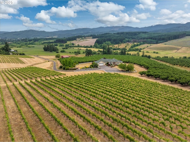 14040 NW Parson Rd, Forest Grove, OR 97116 - overview of rural landscape with extensive farmland and a mountainous background